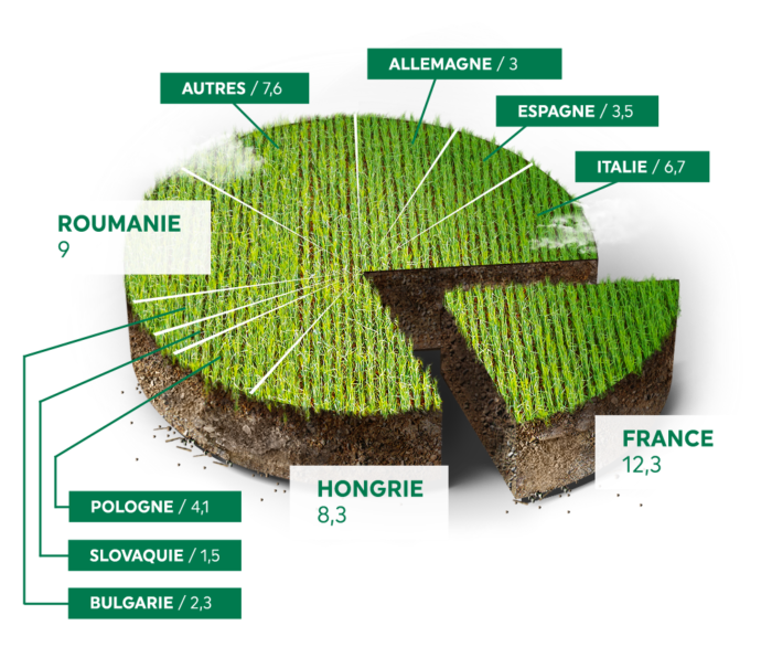 La France est le premier producteur européen de maïs en volume