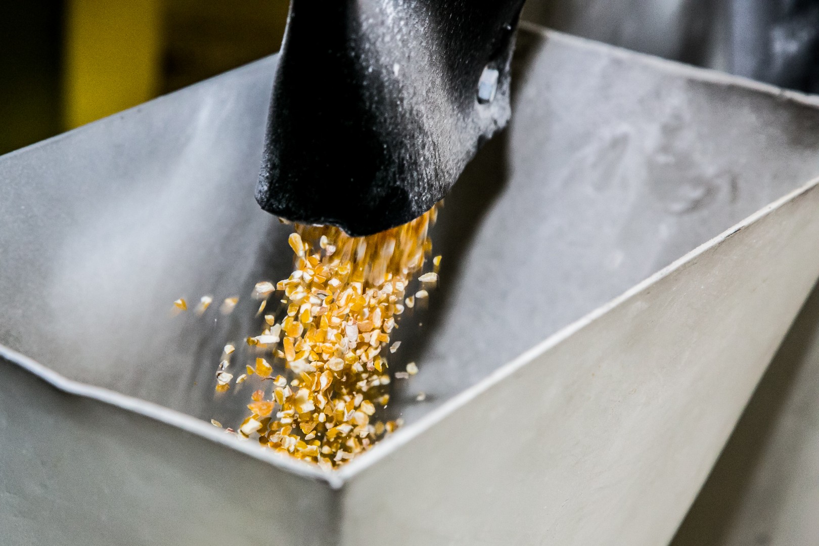 Gros plan sur la farine et les co-produits de maïs pour la nutrition animale.